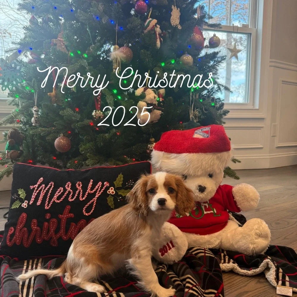 Happy Holidays